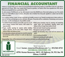 Financial Accountant